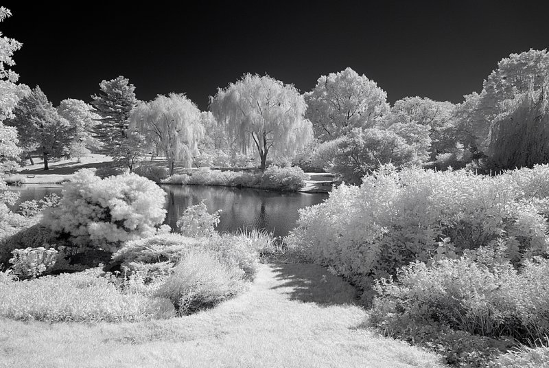Resize of _DSC0689.jpg