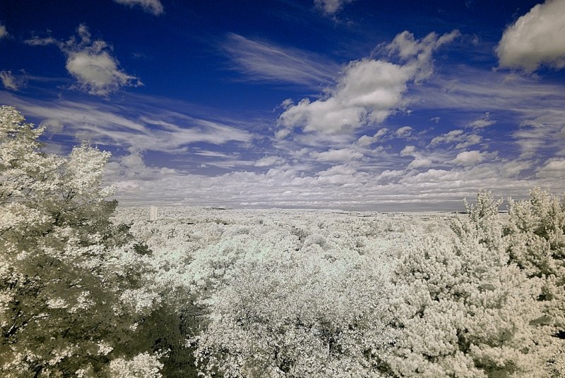 Resize of _DSC7785.jpg