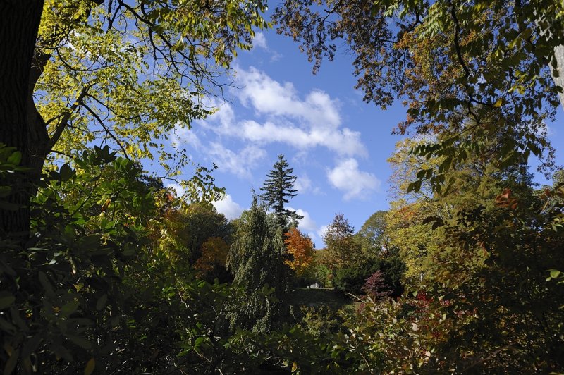 Resize of _DSC1317.jpg
