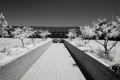 Resize of _DSC5696.jpg