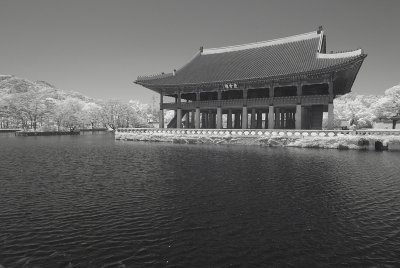 Resize of _DSC5713.jpg