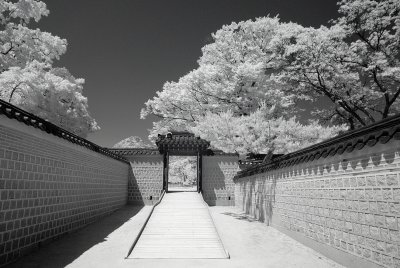 Resize of _DSC5759.jpg