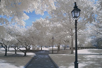 Resize of _DSC1652.jpg