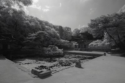 Resize of _DSC5587.jpg