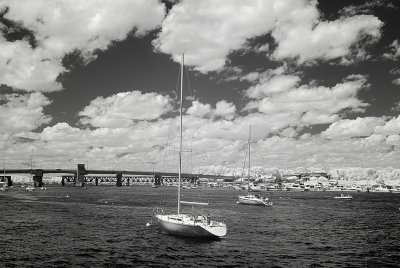 Resize of _DSC7368.jpg
