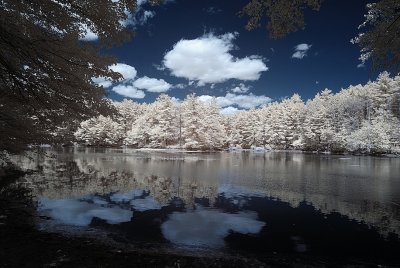 Resize of _DSC1804.jpg