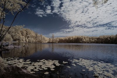 Resize of _DSC1981.jpg
