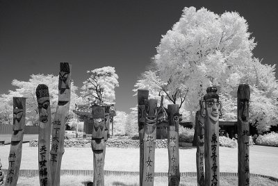 Resize of _DSC5777.jpg