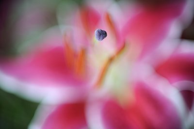 Resize of _DSC4062.jpg