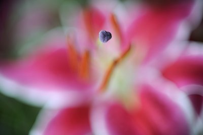 Resize of _DSC4063.jpg