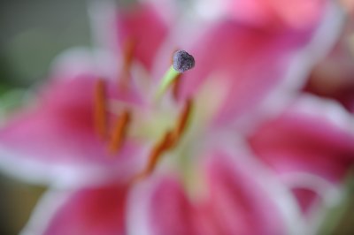 Resize of _DSC4230.jpg