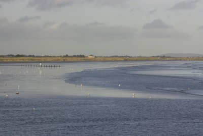 South Shore of North Bull Island from Bull Wall