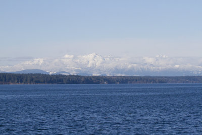Olympic Mountains from Nisqually Reach