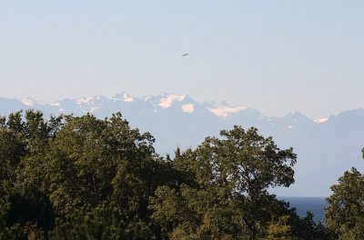 Olympic Mountains