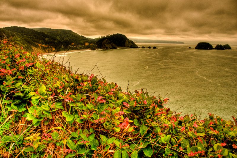 Cape Meares State Park (3), Oregon Coast