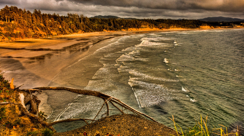 Beach view, Devils Punch Bowl State Park, Oregon Coast