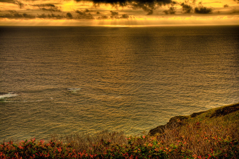 The Pacific Ocean, Cape Foulweather State Park