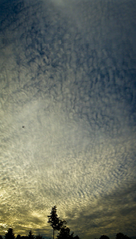 A long stretch of sky