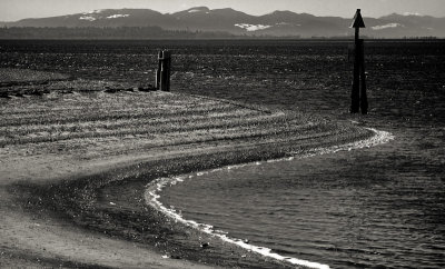 Windy beach