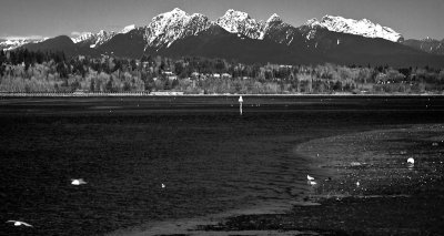 North Shore Mountains view from Crescent Beach