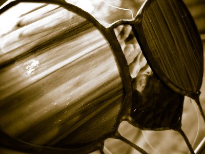 Jupiter vision