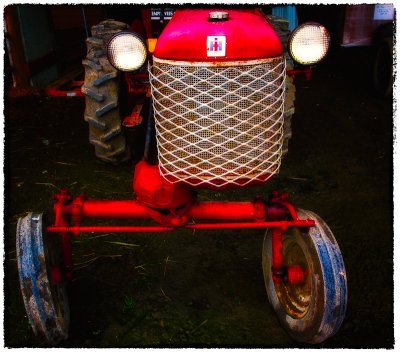 Tractor in Morning Star Farm, Parksville