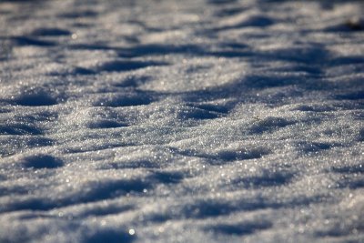 A sea of ice