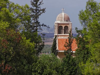 Turret in the trees.