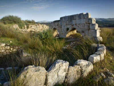 Crusader Compound.