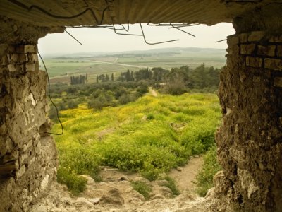 Room with a view!