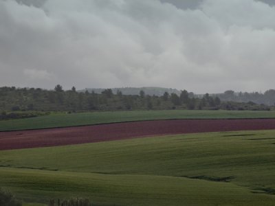 Fields of plenty.