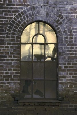 Windows2