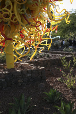 Chihuly Exhibit @ The Phoenix Botanical Gardens