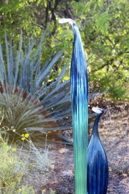 Chihuly Exhibit @ The Phoenix Botanical Gardens