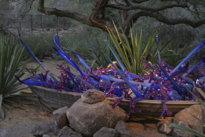 Chihuly Exhibit @ The Phoenix Botanical Gardens