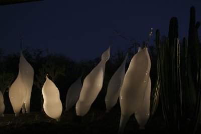 Chihuly Exhibit @ The Phoenix Botanical Gardens