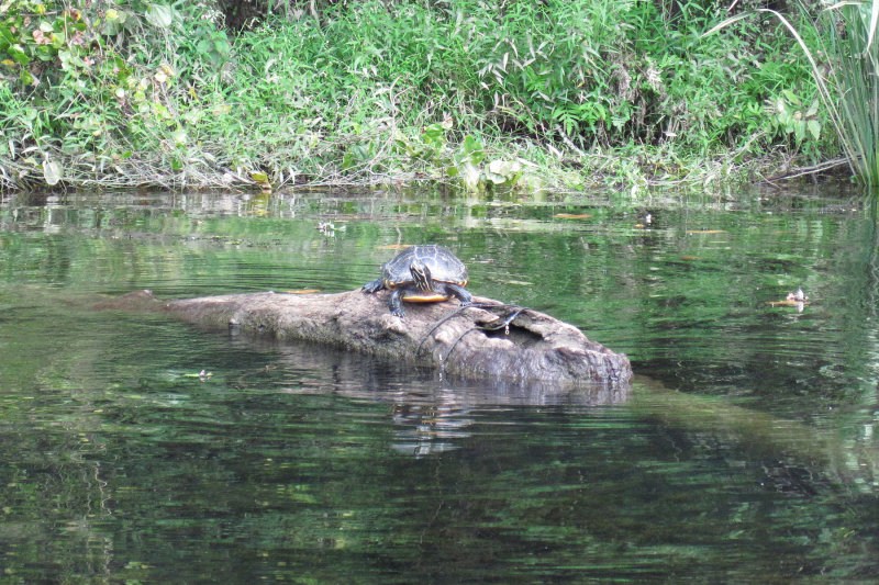 aIMG_0711.jpg