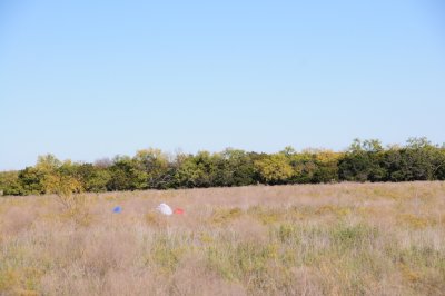 DSC_10228.jpg