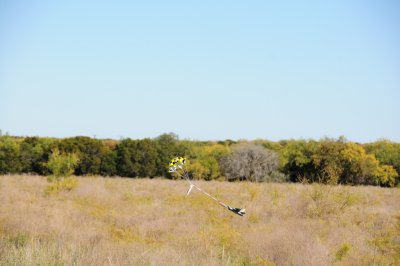 DSC_10240.jpg
