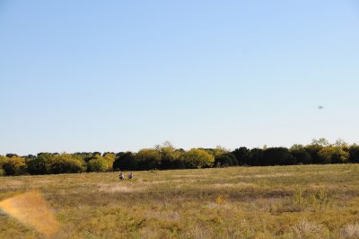 DSC_10350.jpg