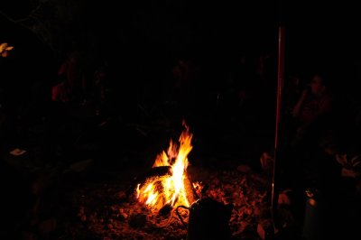 DSC_10520.jpg