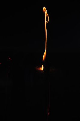 DSC_10568.jpg