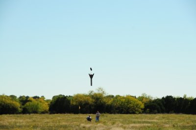 DSC_9950.jpg