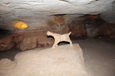 Inks Lake - 04.jpg