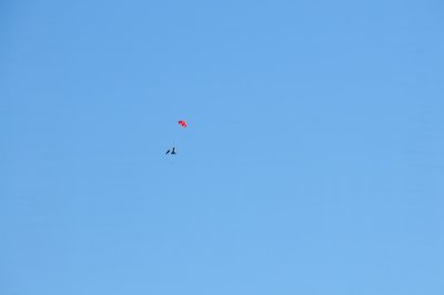 DSC_6591.jpg