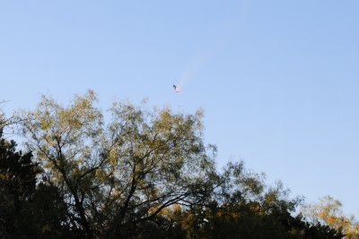 DSC_6933.jpg