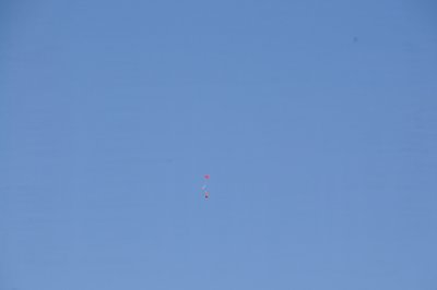 DSC_6984.jpg