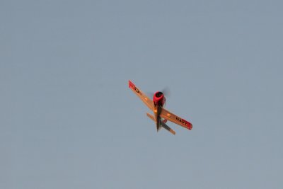 DSC_7034.jpg