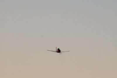 DSC_7041.jpg