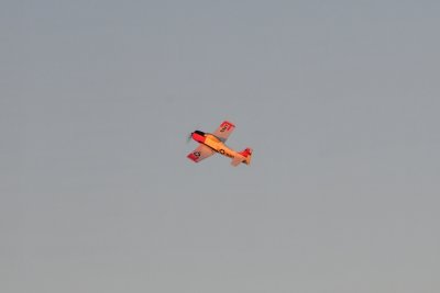 DSC_7043.jpg